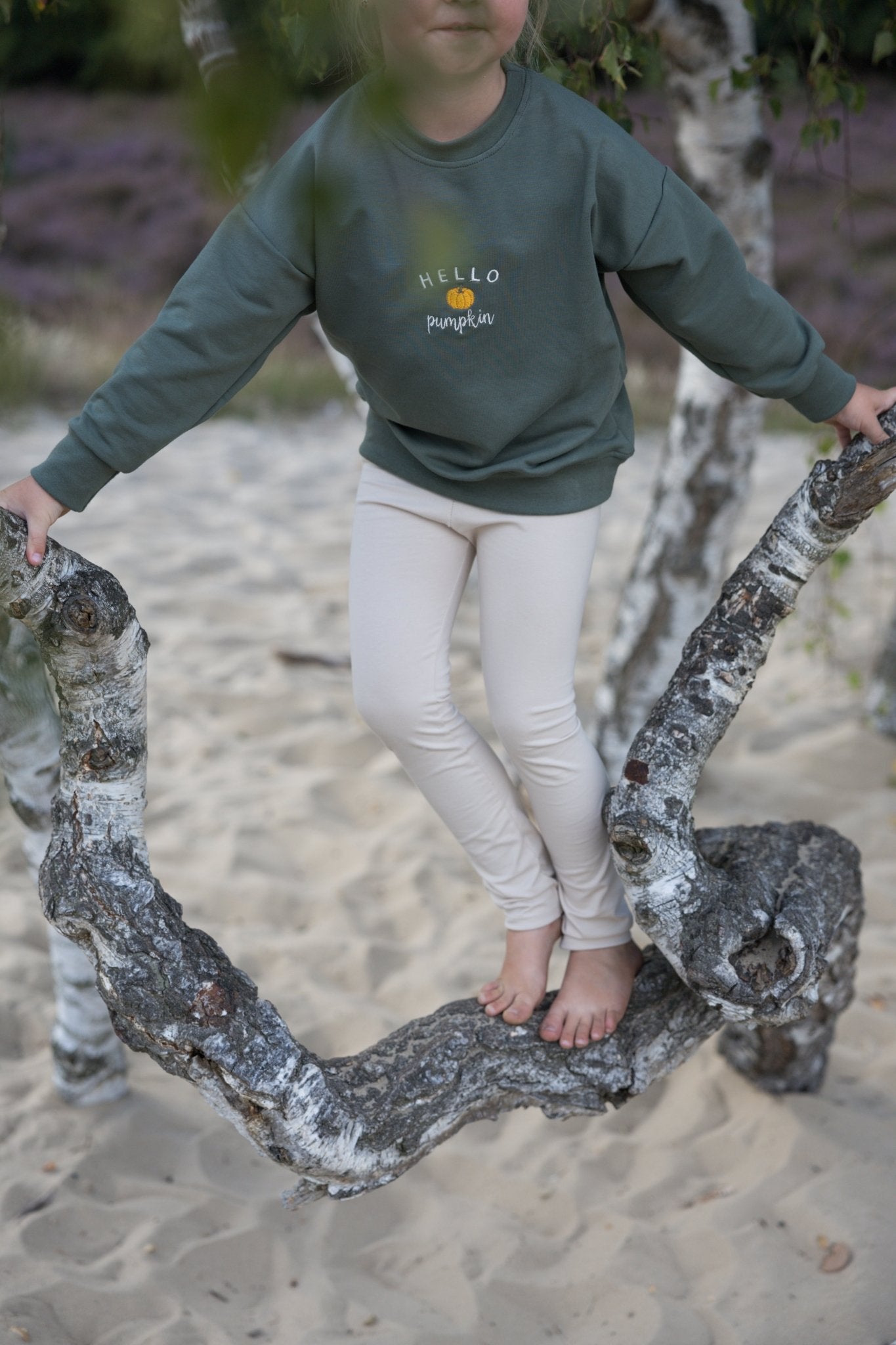 Hello Pumpkin - Sweater